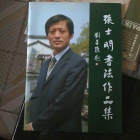 张士明书法作品集