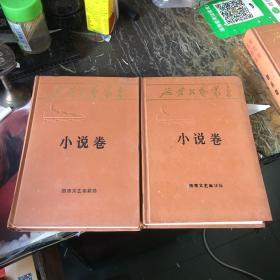 延安文艺丛书《小说卷》（上下册）精装32开