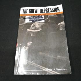 英文原版历史学著作书The Great Depression：Delayed Recovery and Economic change in America,1929~1939【大萧条：1929~1939年间美国被延误的恢复和经济变化】 20世纪美国经济历史与政策研究专著