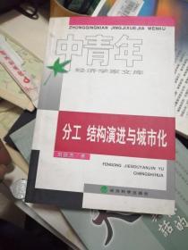 分工、結(jié)構(gòu)演進與城市化