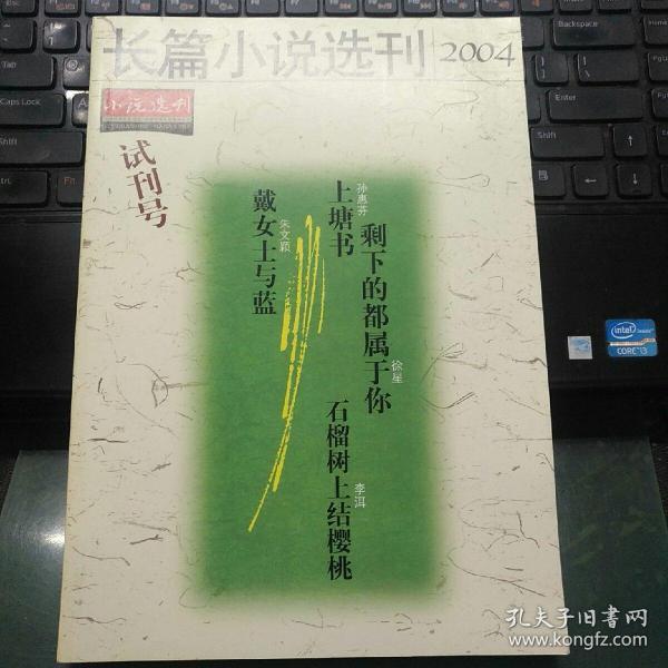 长篇小说选刊2004 试刊号
