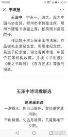 著名书法家--王泽中书法对联《天高地迥襟怀豁 岳峙渊渟气象恬》纸本软片、保真、