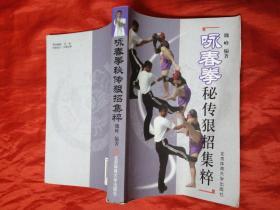 咏春拳秘传狠招集粹