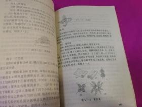 中式面点制作   （有图示，仅印5500册）