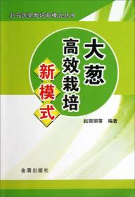 大葱高效栽培新模式 北方蔬菜栽培新模式丛书