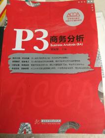 P3 商务分析