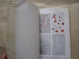 MICROSCOPIC DETERMINATION OF THE ORE MINERALS 矿石矿物的宏观测定  民国1940年版"