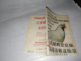 鸡鹅鸭常见病简易诊断及防治.