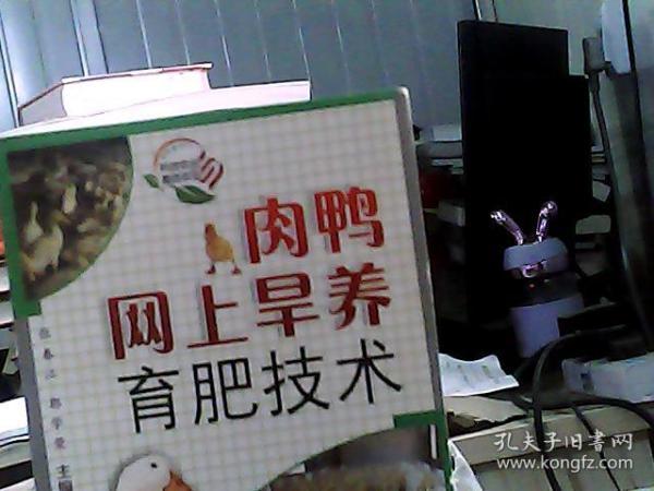 肉鸭网上旱养育肥技术