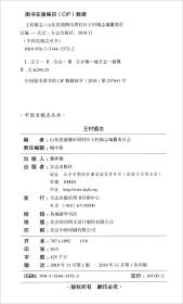 王村镇志/中国名镇志文化工程