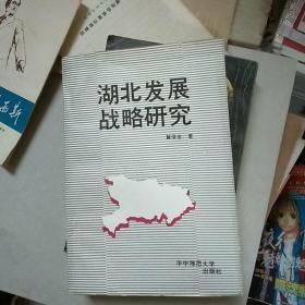 湖北发展战略研究