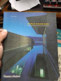 英文原版 WORLD HOUSE NOW