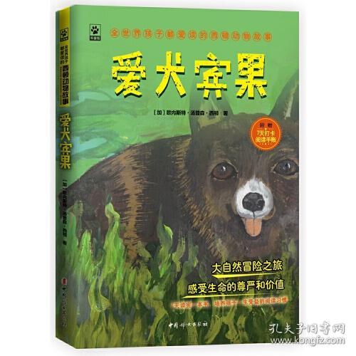 全世界孩子都喜爱的动物故事：爱犬宾果