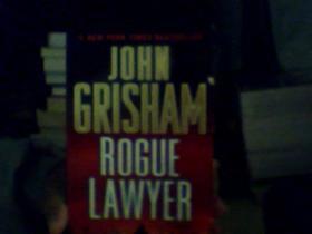 Rogue Lawyer A Novel