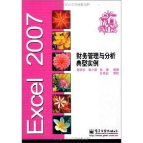 Excel 2007财务管理与分析典型实例