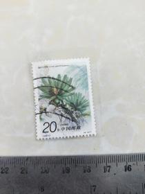 中国邮政:1996-7(4-2)T攀枝花苏铁20分(信销邮票)