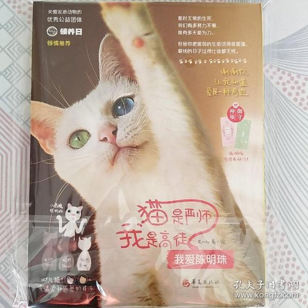 猫是严师，我是高徒