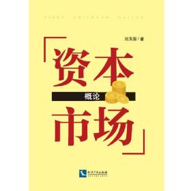 资本市场概论 刘玉国 李北伟 尹苗苗 知识产权出版社