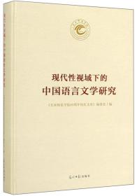 现代性视域下的中国语言文学研究