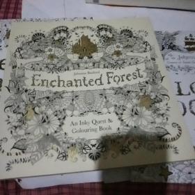 Enchanted Forest魔法森林 英文原版