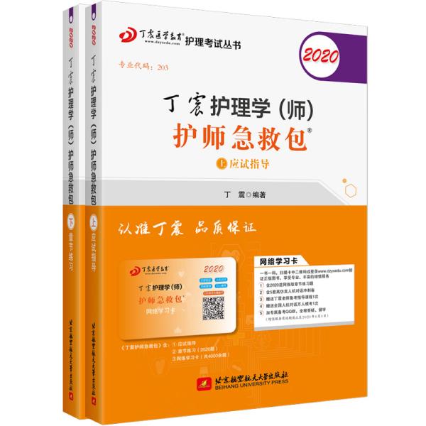 主管护师2020丁震2020护理学（师）护师急救包（套装共2册）