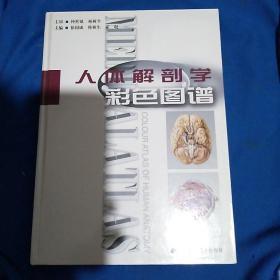 人体解剖学彩色图谱