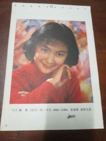 年画缩样散页画一张：新秀（张涵毅，谢新发  摄）
