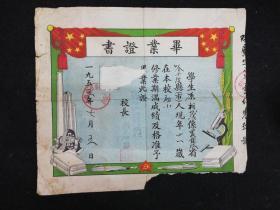 毕业证书（1955年）