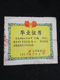 毕业证书（1957年）