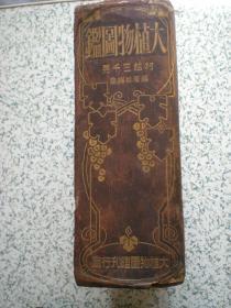 大植物图鉴 国内包邮挂