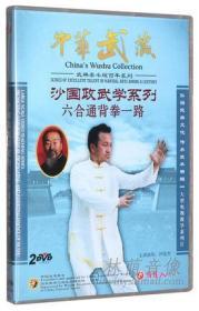 中华武藏 沙国政武学系列 通背拳 11DVD