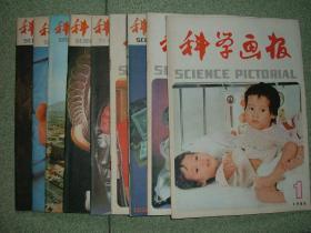 社科期刊◆科学画报（1985年第1、2、3、4、6、8、9、10、12期），九册合售，也可拆售，每本3元，满35元包快递（新疆西藏青海甘肃宁夏内蒙海南以上7省不包快递）