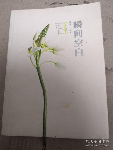 瞬间空白：《萌芽》十年精华集·小说卷