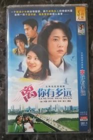 电视剧DVD 2碟装  离你有多远