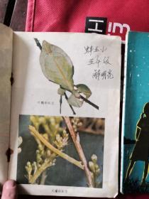 小学课本，自然 （ 3.4.5.）3本合售