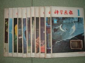 社科期刊◆科学画报（1982年第1-12期，缺第6期），十一册合售，满55元包快递（新疆西藏青海甘肃宁夏内蒙海南以上7省不包快递）