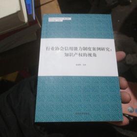 同济人文社科丛书（第五辑） 行业协会信用能力制度案例研究：知识产权的视角