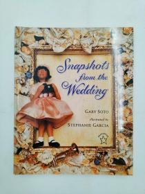 Snapshots from the Wedding (Paperstar Book)