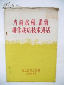 1958年 当前水稻、番薯耕作栽培技术讲话