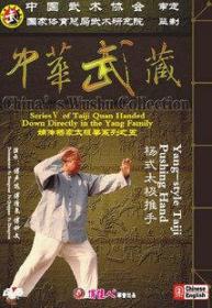 傅钟文 傅声远 傅清泉 中华武藏杨式太极拳系列  40DVD