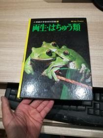 両生?はちゅう类 （小学馆の学习百科図鑑36）