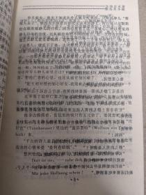 沉沦迷羊