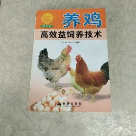 养鸡高效益饲养技术