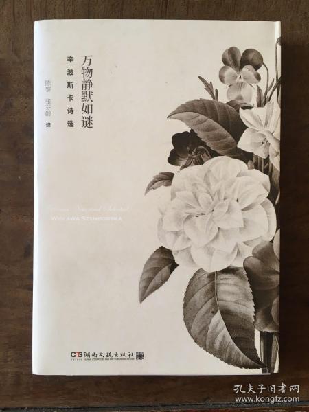 万物静默如谜：辛波斯卡诗选