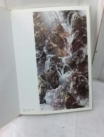 山泉古榕南国风——杜应强画展作品集·雅加达