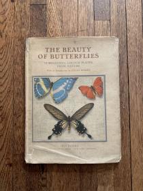 THE BEAUTY OF BUTTERFLIES（布面精装带书衣，16开，1945年）