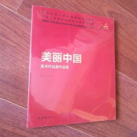 美丽中国美术作品展作品集 【未开封】