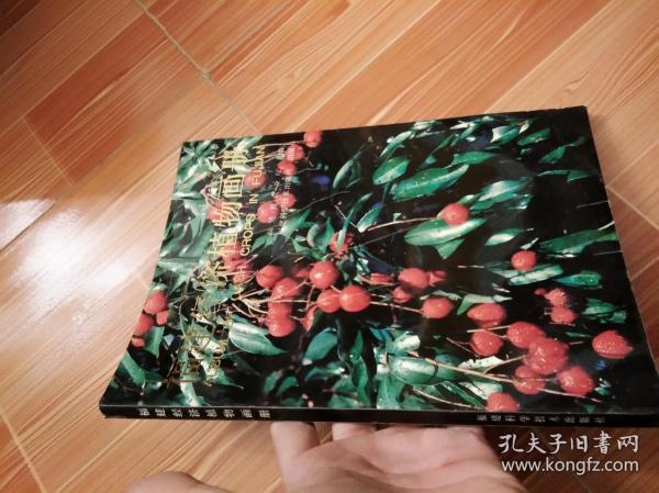 福建经济植物画册 （全铜版纸彩印）