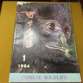 野生动物
 1984-1