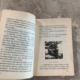 中学生文库精选：南极之行 冰川奇观 古乐府选析 生物工程的魅力  4本合售